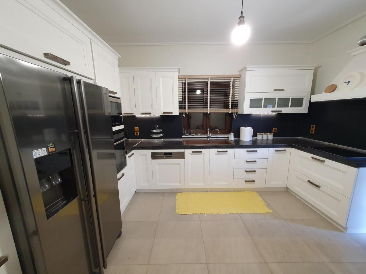 Villa Lina Salamina Ambelakia Bagian luar foto